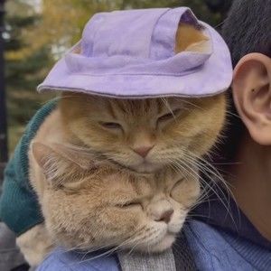 Meet your Posher, Eastlynd